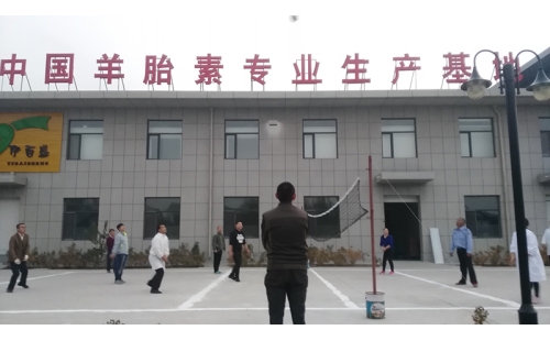 排球傳溫情，員工齊聚心
