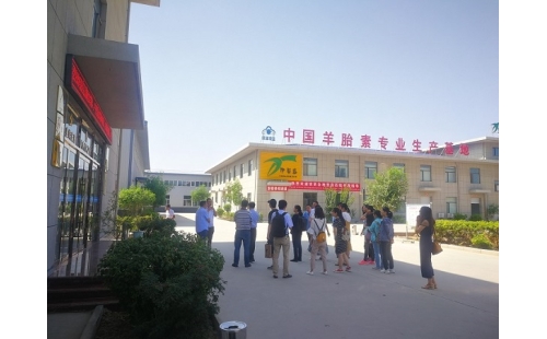 江南大學(xué)、寧夏大學(xué)課題組專家蒞臨伊百盛調(diào)研交流